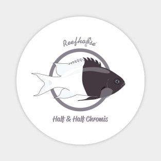 Half and Half Chromis Magnet